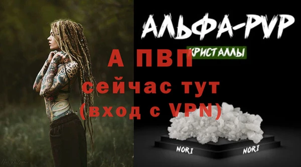 соль курить ск Ладушкин