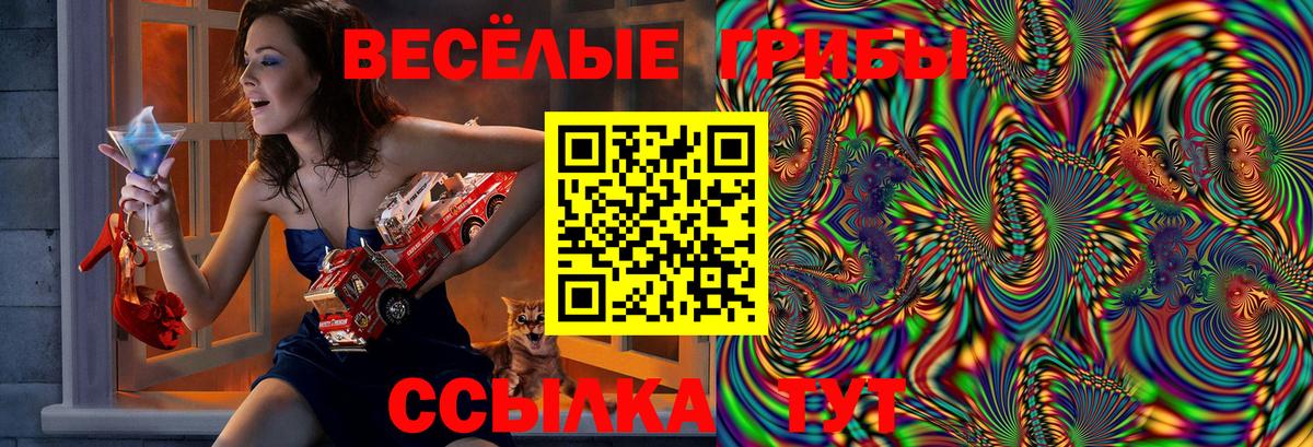 Псилоцибиновые грибы Psilocybine cubensis  Вход с VPN  Севастополь  Псилоцибиновые грибы мицелий 